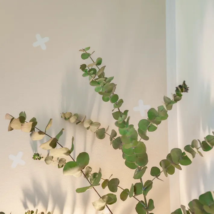 expo-dream_krizovskeho-2c