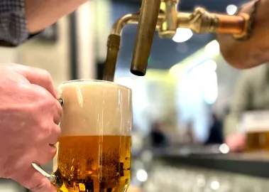 pivo